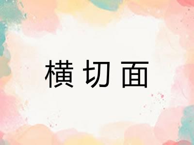横切面