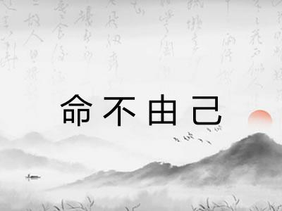 命不由己