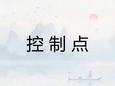 控制点
