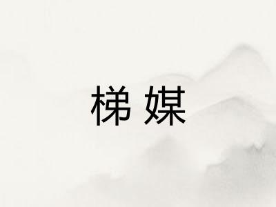 梯媒