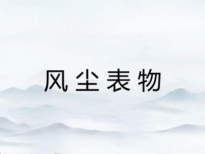 风尘表物