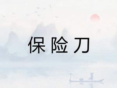 保险刀
