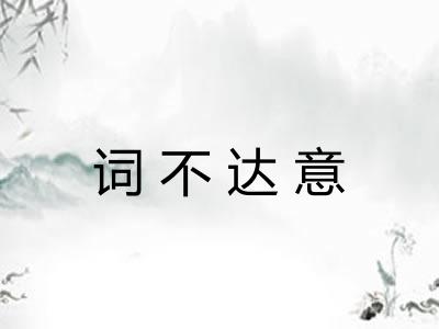 词不达意
