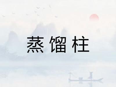蒸馏柱