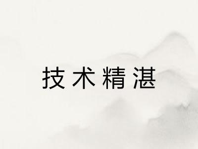 技术精湛