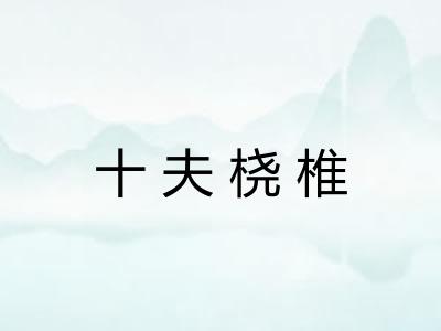 十夫桡椎