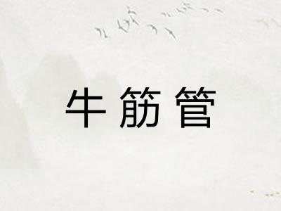 牛筋管