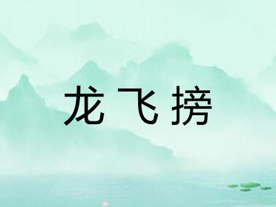 龙飞搒