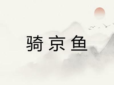 骑京鱼