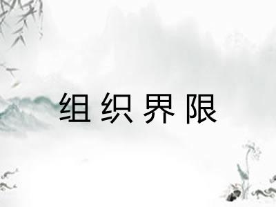 组织界限
