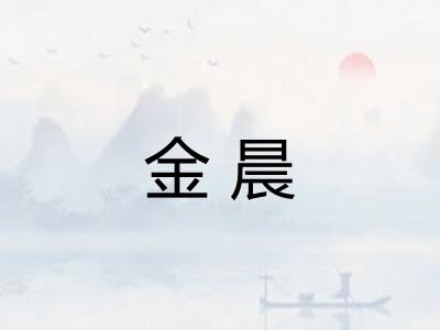 金晨