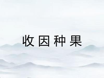 收因种果