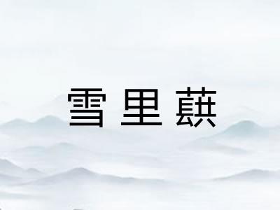 雪里蕻