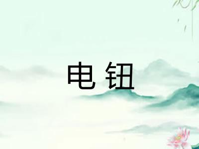 电钮