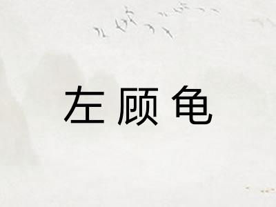 左顾龟