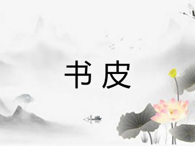 书皮