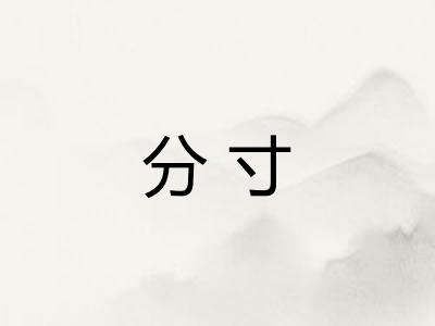 分寸