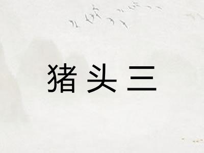 猪头三