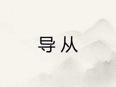 导从