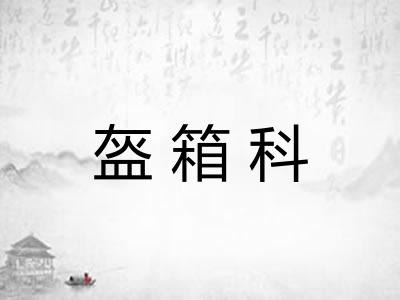 盔箱科