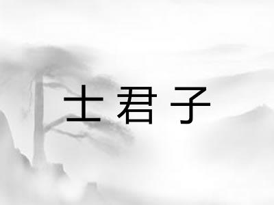 士君子