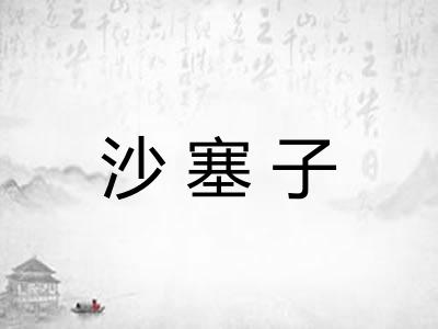 沙塞子
