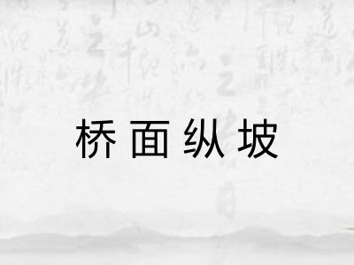 桥面纵坡