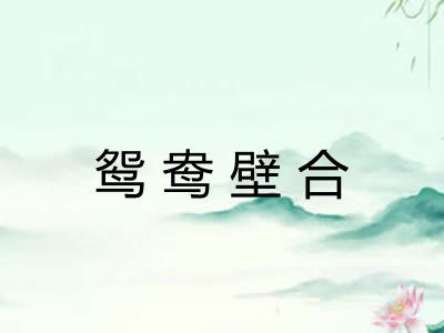 鸳鸯壁合
