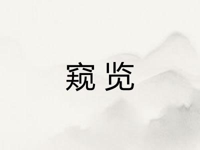 窥览