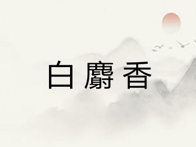 白麝香