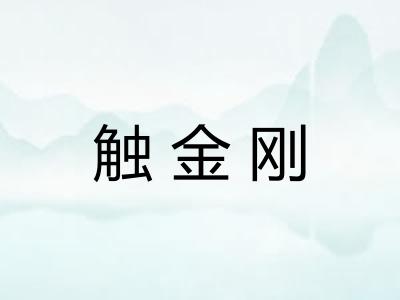 触金刚
