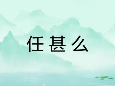 任甚么