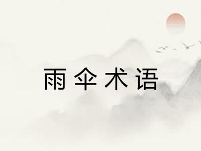 雨伞术语