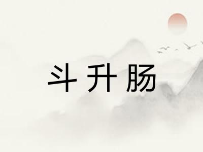 斗升肠
