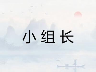 小组长