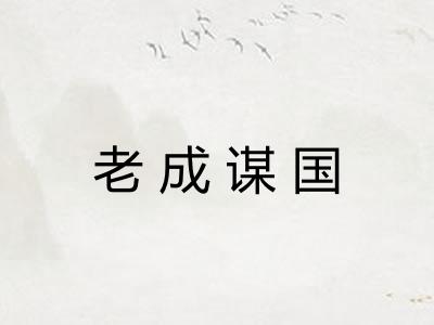 老成谋国