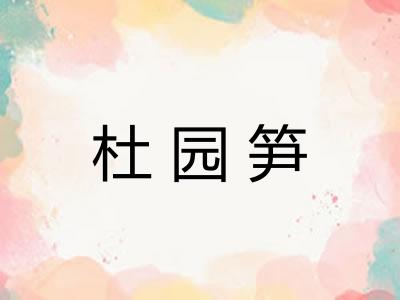 杜园笋