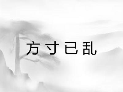 方寸已乱
