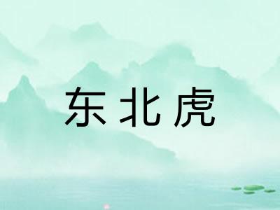 东北虎