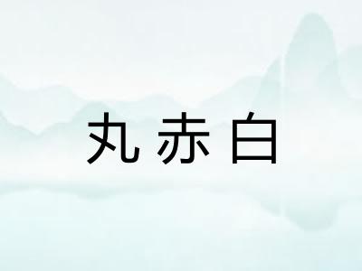 丸赤白