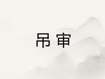 吊审