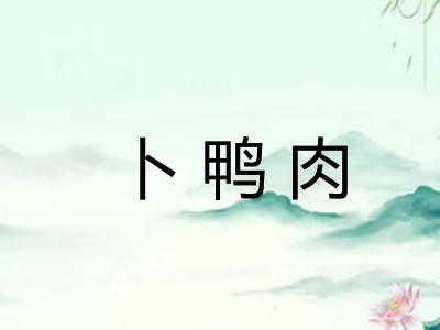 卜鸭肉