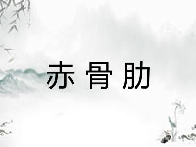 赤骨肋