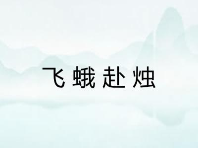 飞蛾赴烛