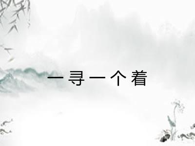 一寻一个着