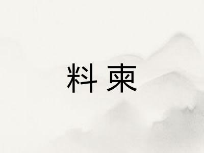 料柬