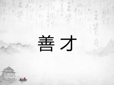 善才