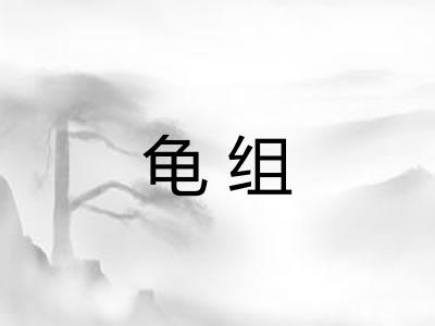 龟组