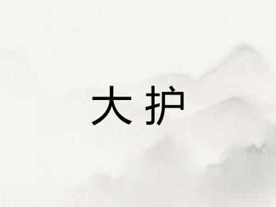 大护