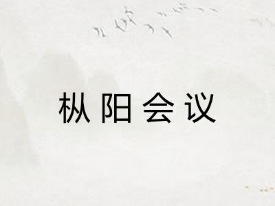 枞阳会议
